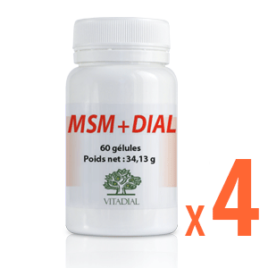 4 MSM + DIAL 60 gélules