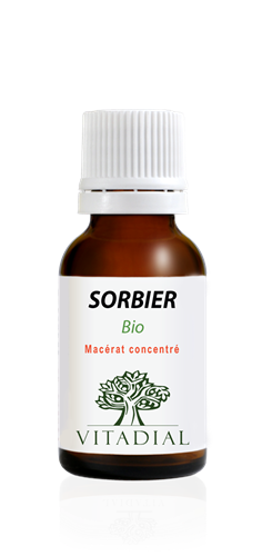 SORBIER Bio 15 ml