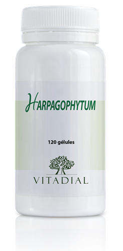 HARPAGOPHYTUM 120 gélules