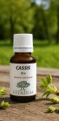 CASSIS Bio | Macérât de bourgeons