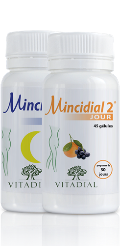 MINCIDIAL 2