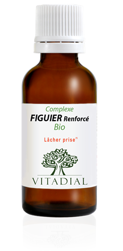 Figuier renforcé Bio 30 ml