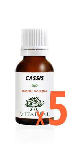 PROGRAMME INTENSE 5 CASSIS