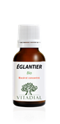 EGLANTIER Bio 15 ml