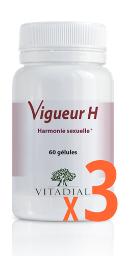 VIGUEUR H X3