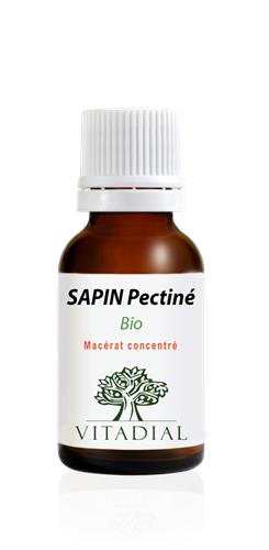 SAPIN PECTINE Bio 15 ml