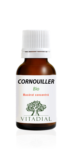 CORNOUILLER Bio 15 ml