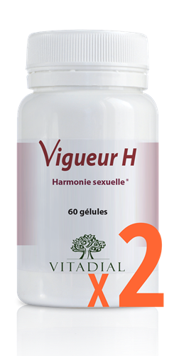 Vigueur H X2 |Ginseng Harmonie sexuelle