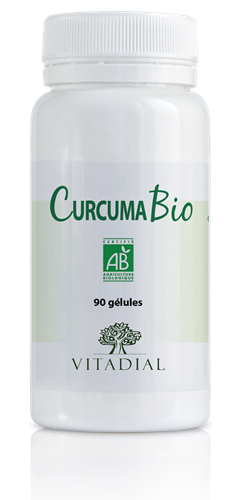 CURCUMA Bio 90 gélules