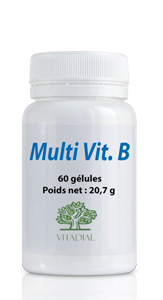 Multi vitamines B 60 gélules
