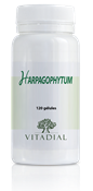 HARPAGOPHYTUM 120 gélules
