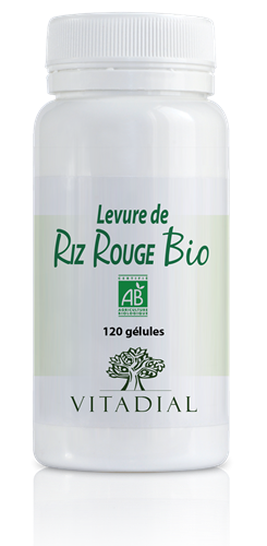 LEVURE DE RIZ ROUGE BIO 120 gélules