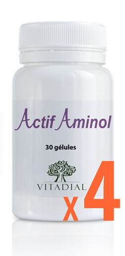 ACTIF AMINOL X4 