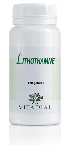 LITHOTHAMNE 120 gélules