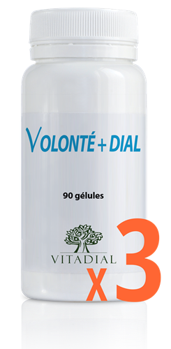 VOLONTE + DIAL X3