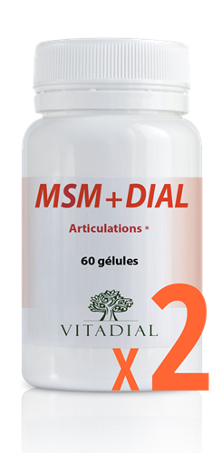 MSM + DIAL X2