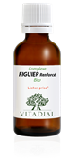 Figuier renforc Bio 30 ml